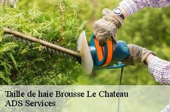 Taille de haie  brousse-le-chateau-12480 ADS Services