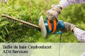 Taille de haie  camboulazet-12160 ADS Services