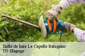 Taille de haie  la-capelle-balaguier-12260 TD Elagage