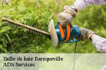 Taille de haie baraqueville-12160 Elagage Beaumann