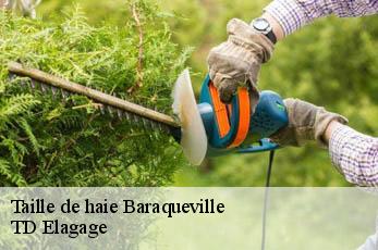 Taille de haie  baraqueville-12160 TD Elagage
