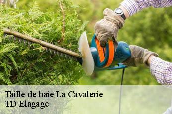 Taille de haie  la-cavalerie-12230 TD Elagage