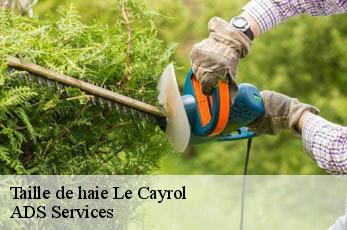 Taille de haie  le-cayrol-12500 ADS Services