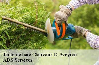 Taille de haie clairvaux-d-aveyron-12330 ADS Services