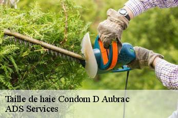 Taille de haie condom-d-aubrac-12470 ADS Services