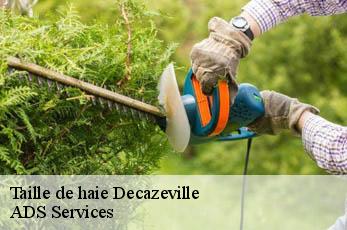 Taille de haie  decazeville-12300 ADS Services
