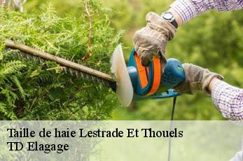 Taille de haie  lestrade-et-thouels-12430 TD Elagage
