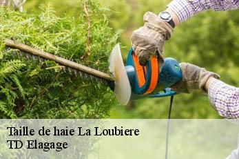 Taille de haie  la-loubiere-12740 TD Elagage