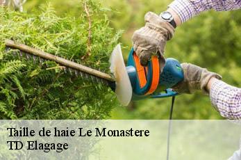 Taille de haie  le-monastere-12000 TD Elagage