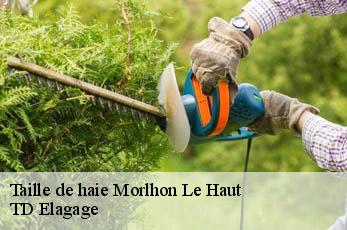 Taille de haie  morlhon-le-haut-12200 TD Elagage