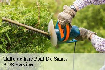 Taille de haie pont-de-salars-12290 ADS Services
