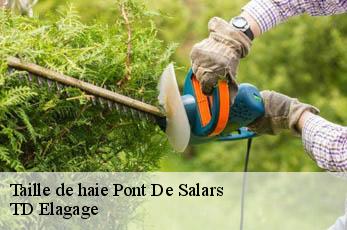 Taille de haie  pont-de-salars-12290 TD Elagage