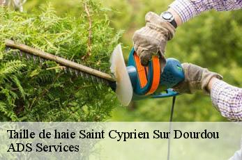 Taille de haie  saint-cyprien-sur-dourdou-12320 ADS Services