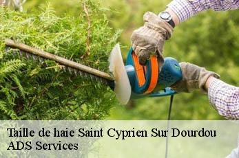 Taille de haie saint-cyprien-sur-dourdou-12320 ADS Services