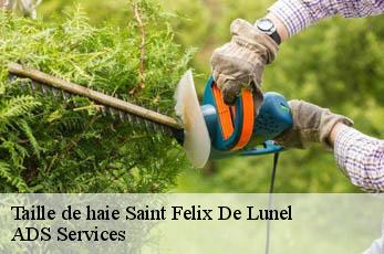 Taille de haie  saint-felix-de-lunel-12320 ADS Services