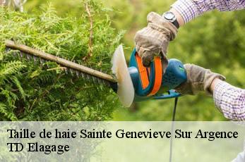 Taille de haie  sainte-genevieve-sur-argence-12420 TD Elagage
