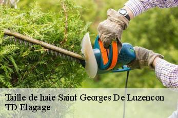 Taille de haie  saint-georges-de-luzencon-12100 TD Elagage