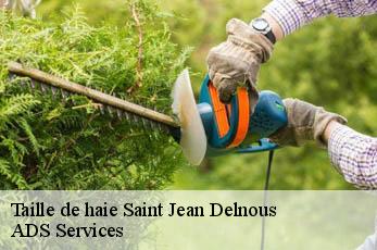 Taille de haie  saint-jean-delnous-12170 ADS Services