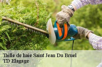 Taille de haie  saint-jean-du-bruel-12230 TD Elagage