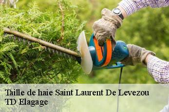 Taille de haie  saint-laurent-de-levezou-12620 TD Elagage