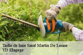 Taille de haie  saint-martin-de-lenne-12130 TD Elagage