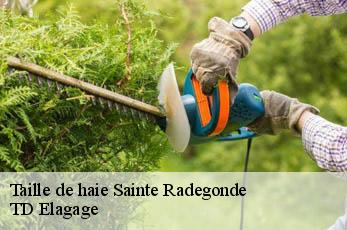 Taille de haie  sainte-radegonde-12850 TD Elagage