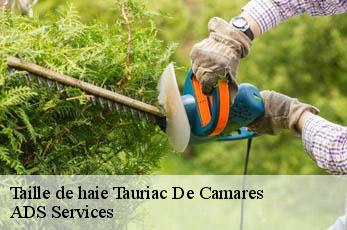 Taille de haie tauriac-de-camares-12360 ADS Services