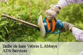 Taille de haie  vabres-l-abbaye-12400 ADS Services