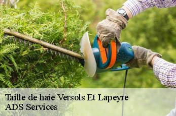 Taille de haie  versols-et-lapeyre-12400 ADS Services