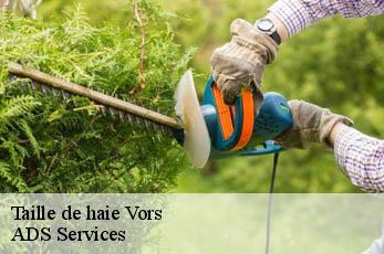 Taille de haie  vors-12160 ADS Services