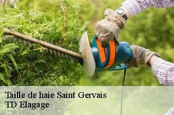 Taille de haie  saint-gervais-12460 TD Elagage