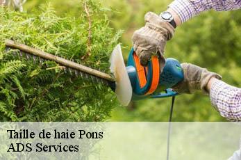 Taille de haie  pons-12140 ADS Services